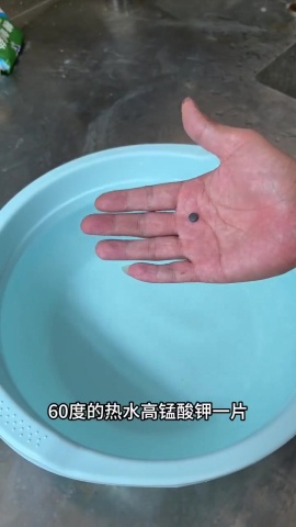 清潔-鞋子發黃.mp4