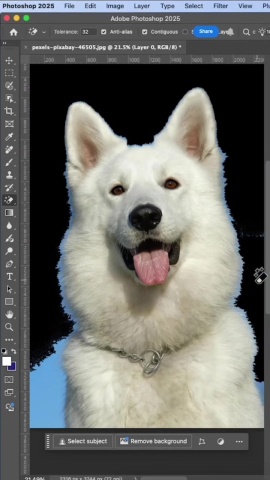 去背-摳圖去白髮毛邊.mp4