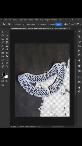 PS-複雜物件摳圖.mp4