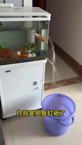 水族-水質控制技.mp4